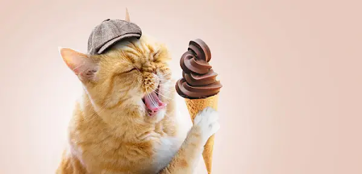 Can cats eat ice cream